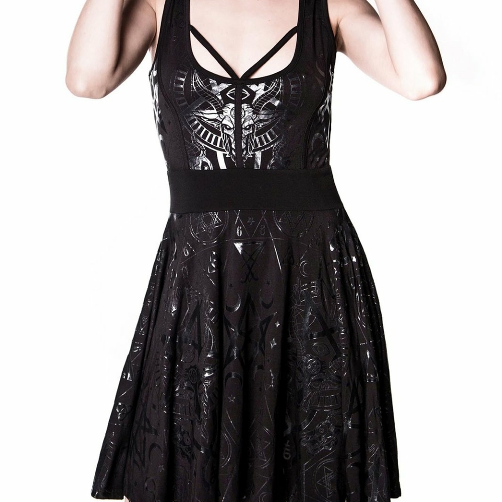 Vicky Veil Skater Dress
